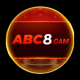 abc8cam
