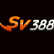 websv388com's Avatar