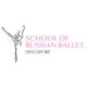 Profile picture of School of Russian Ballet Singapore