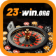 23winorg1
