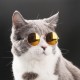 user4463876 Avatar