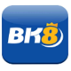 bk8press's avatar