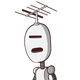 impaled33