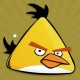 İlker İnanç Avatar