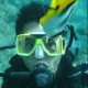 wikimo Avatar