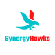 synergyhawks