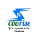 coorise
