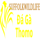 dagasuffolk