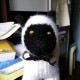 Kit Yeung Avatar