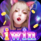 IWINVN