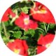 Author's avatar image