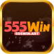 555winart