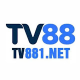 Profile photo of tv881net