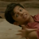 crayfish Avatar