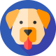 gradytrain Avatar