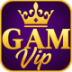 Profile picture of GamVip