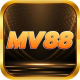 Profile picture of 48765645