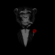 AleXzpm Avatar