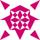 Beginner Avatar