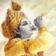 Kushal Abrol