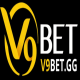 Foto del perfil de V9bet