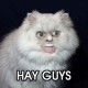 ArIck Avatar
