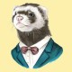 user avatar image for Ferret