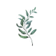 Profile photo of Eve