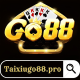 @taixiugo88pro's avatar