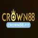 Profile picture of crown88fit