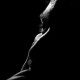 showerapps Avatar
