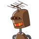 terlicomtoupa