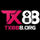 tx888org