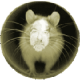 jimeast Avatar