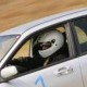 0l33l Avatar