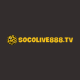 socoliveopalmagic