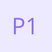 P13L13