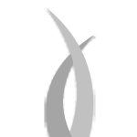 Profile picture of Jo Amato