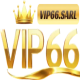 Foto del perfil de Vip66 sarl