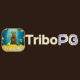 tribopgnetbr