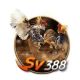 Foto del perfil de SV388