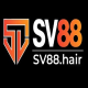 sv88hair1