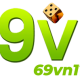 69vn11info