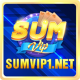 sumvip1net1