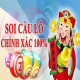 SoiCau2