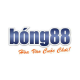 Profile photo of bong88hunet