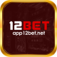 Profile picture of app12betnet
