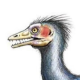 jshock Avatar