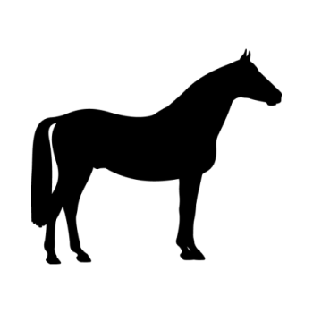 Yvonne Bemrose's avatar