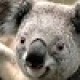 Profile picture of GeoGuy